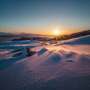 雪落阳曦