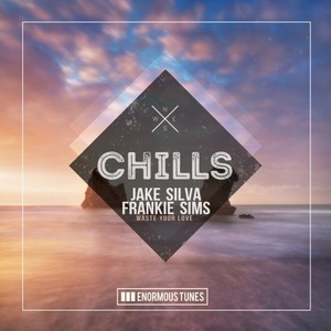 Waste Your Love (Extended Mix)