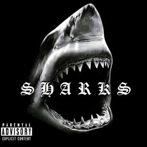 Sharks (Explicit)