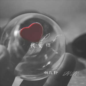 P.S.我爱你 