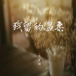 残留的温柔封面