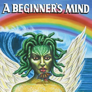 A Beginner's Mind