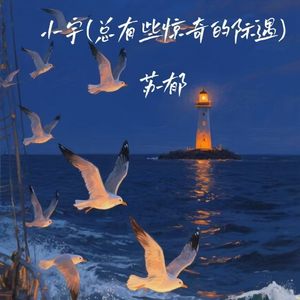 小宇 (总有些惊奇的际遇)