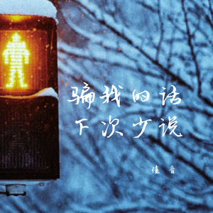 骗我的话下次少说