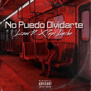 No Puedo Olvidarte (feat. Papi Luche)