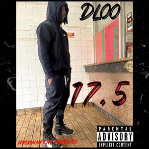 17.5 (feat. Dl00) [Explicit]