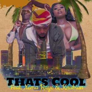 That's Cool (feat. Nema Raye & Knubian) (Explicit)