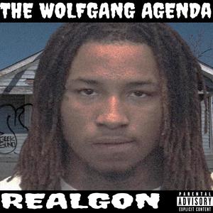 The Wolfgang Agenda (Explicit)