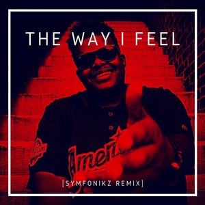 The Way I Feel (Symfonikz Remix)