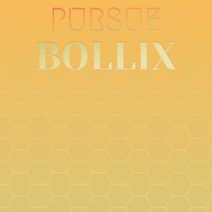 Pursue Bollix