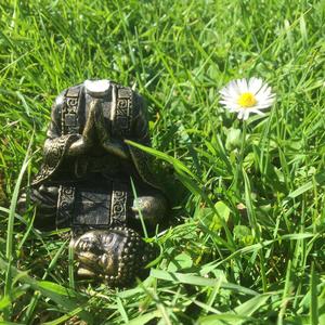 alert absence (Explicit)