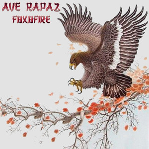 Ave Rapaz (Explicit)