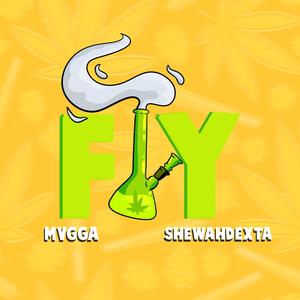 Fly (feat. shewahdexta)