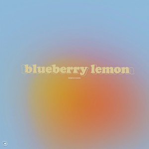 blueberry lemon