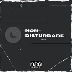 NON DISTURBARE (Explicit)