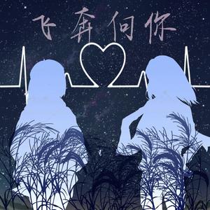 飞奔向你