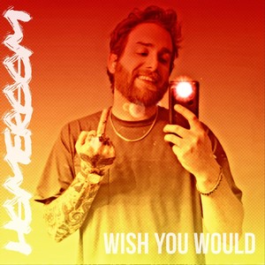 Wish You Would