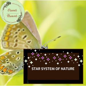 Star System of Nature