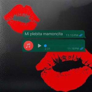 Mi Plebita Mamoncita (Explicit)