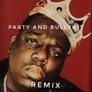 Party and Bullshit Remix