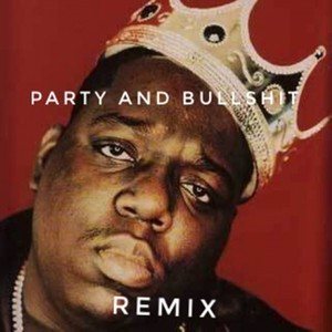 Party and bullshit (Remix)