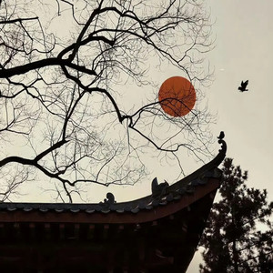 古琴禅修 (疗愈纯音乐)