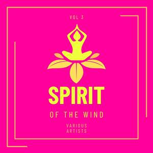 Spirit Of The Wind, Vol. 3 (Explicit)