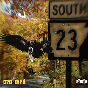 870 Bird (feat. backdoorbird & B.I.G Obeezy) [Explicit]