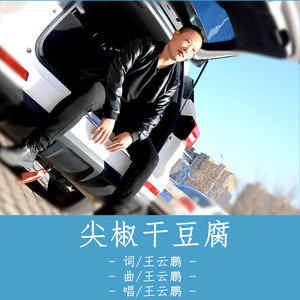 尖椒干豆腐