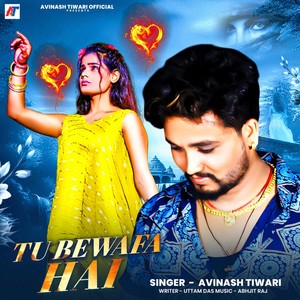 Tu Bewafa Hai