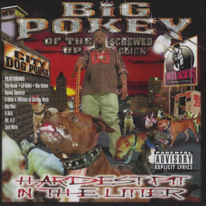 Who Dat Talking Down (Explicit)