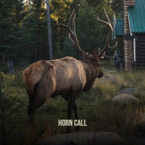 Horn Call