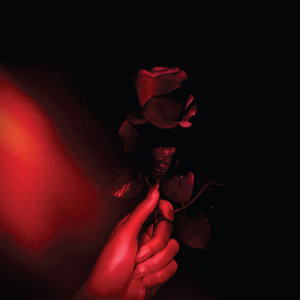 i just want to hear your voice