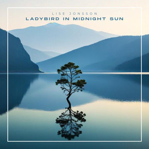 Ladybird in Midnight Sun