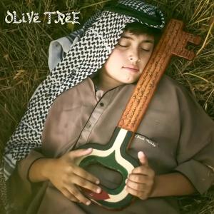 OLIVE TREE