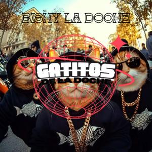 Bishy La Doche - Gatitos de La Doche (Explicit)