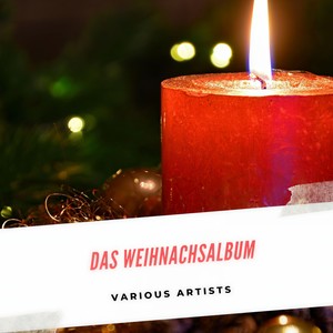 Christmas Oratorio, Bwv 248 Pt. 1: Grosser Herr, O Starker König