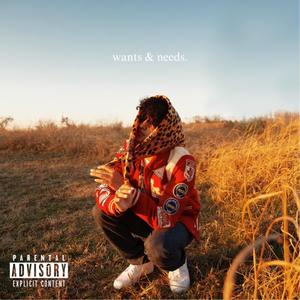 wants & needs. (Explicit)