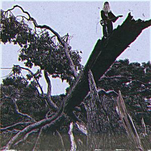 Prismatic crown (Explicit)