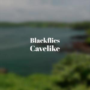 Blackflies Cavelike