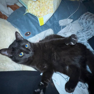 Двигай попой