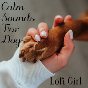 Calm Sounds for Dogs