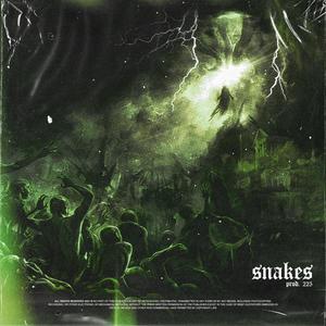 SNAKES (Explicit)