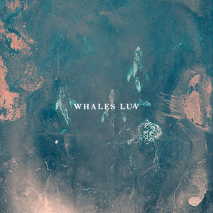 whales luv