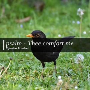 psalm - Thee comfort me