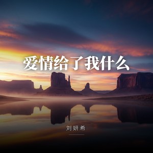 爱情给了我什么