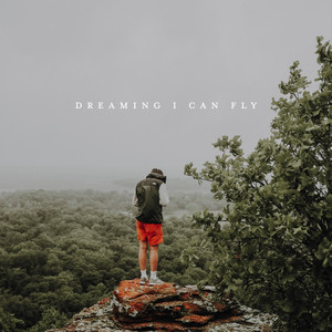 Dreaming I Can Fly