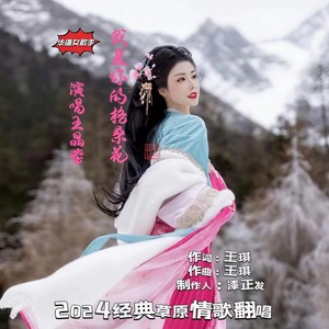 你是我的格桑花 (伴奏)