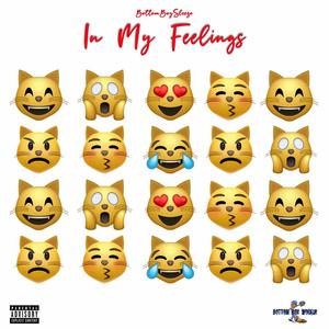 In my feelings (Explicit)