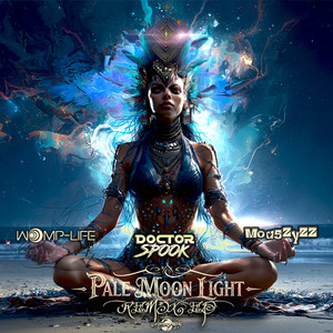 Pale Moon Light (DJ NV, DJ Frank Nitty Melodic Techno VIP Remix)